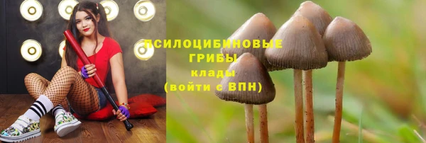 индика Алексеевка
