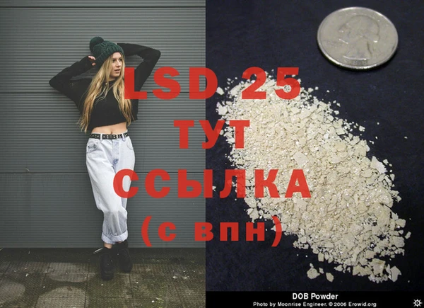 индика Алексеевка