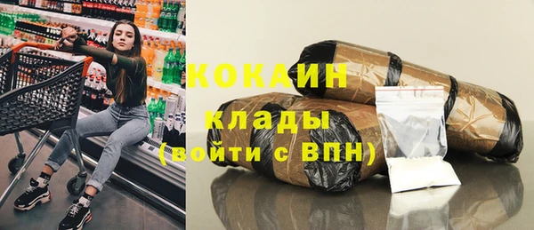 индика Алексеевка